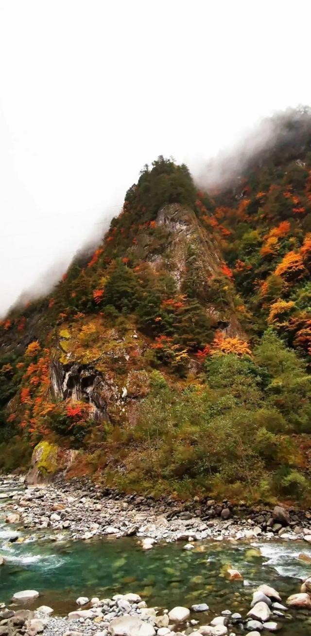 朋友|太撩人了！凉山人的朋友圈里，藏着最美清秋！