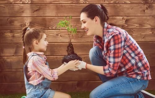 更上一层楼|好的家庭教育可以怎么做，我们来吸取和运用一下跨界的方法和实践