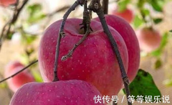 好处|每天早上空腹吃1个苹果,有4大好处不请自来,尤其女性更要多食!