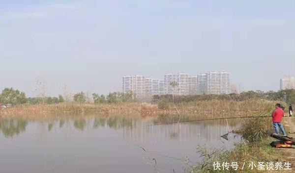 冬季钓鱼，用这种钓法，把饵料递到鱼嘴边，帮你快速“撬开“鱼嘴