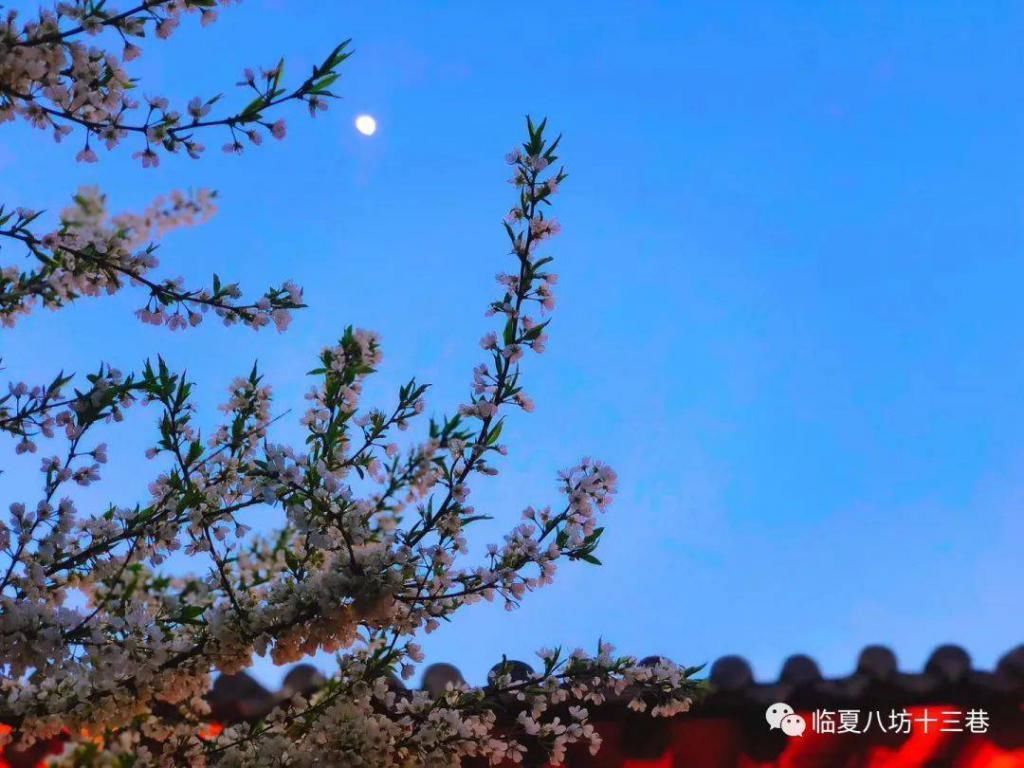 活色生香的古巷,文化气息浓厚,夜景太迷人美食太诱惑~