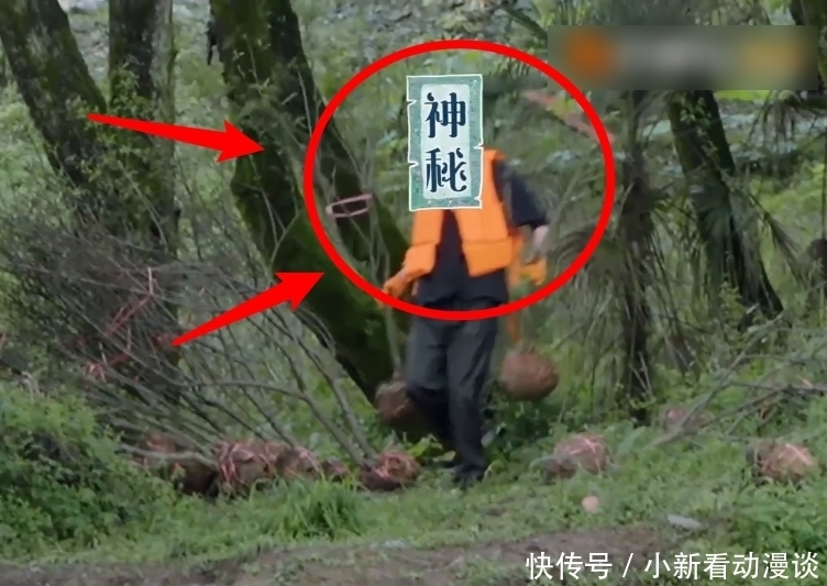 节目 《向往5》预告,蘑菇屋迎来两位神秘嘉宾,节目组挡脸挡了个寂寞