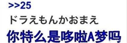 胖子|“我在山上,怎么让它感受下社会险恶”人为啥就偏爱作死呢……