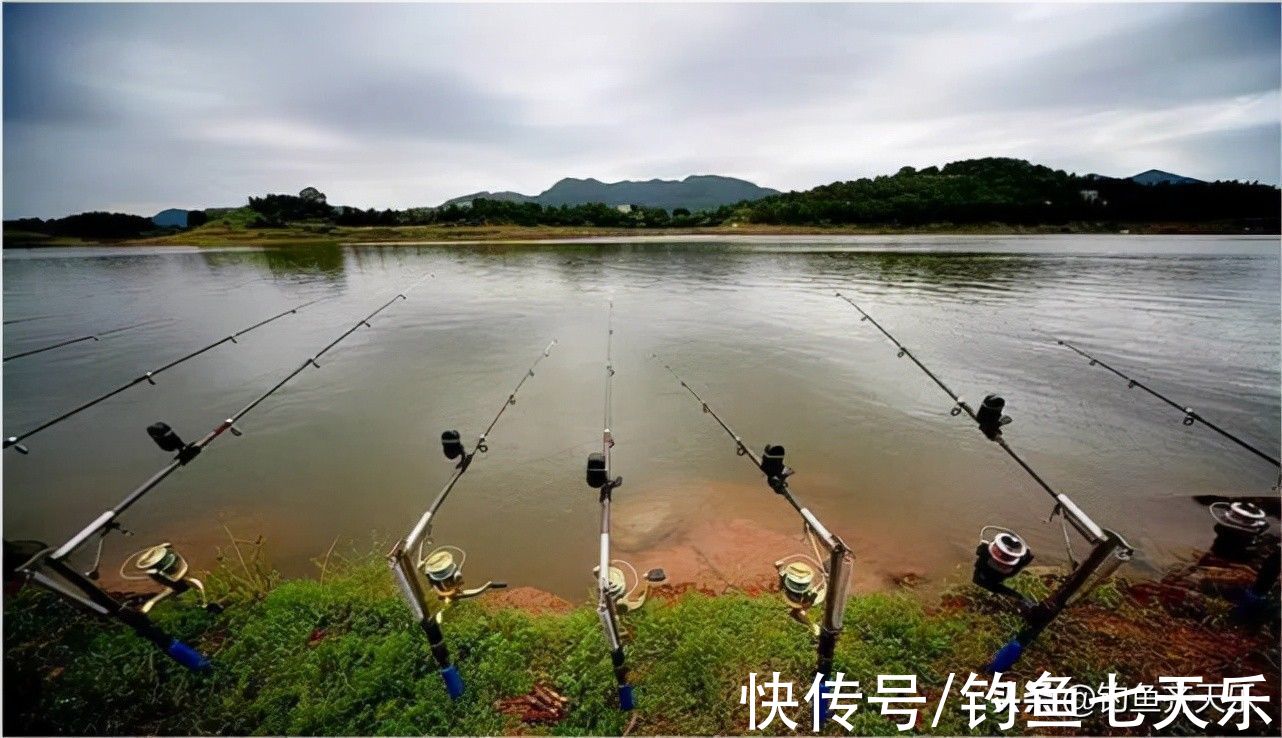 重庆|重庆垂钓规范出台，多种鱼不能再钓！网友：钓鱼前请带好尺子和秤