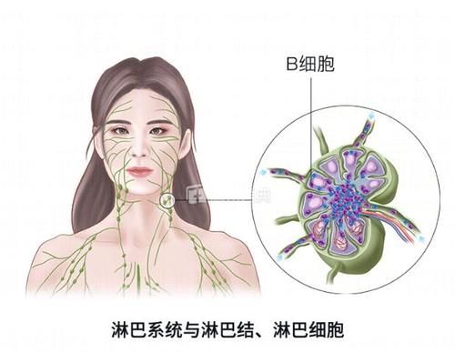 这4大美容项目，坑惨了多少中国女人！