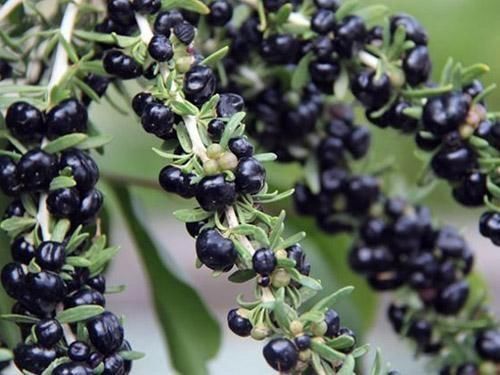 肾虚的人会有6个表现在身体，教你一些妙招，