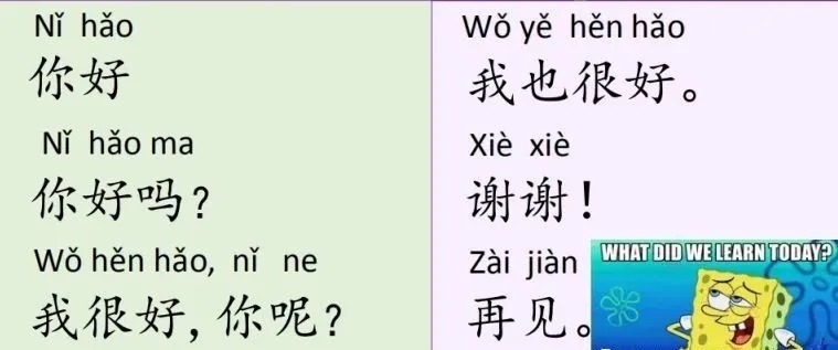 新赴任教师如何快速上手？他们有话说|中文志愿者 | 上手