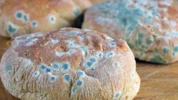 致癌|黄曲霉素可直接致癌?想要远离癌症,4种食物能离多远离多远