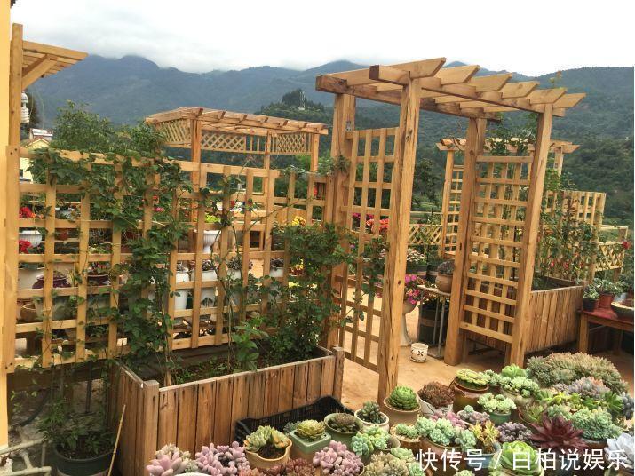 女婿在楼顶养多肉,村里人都跑来参观,丈母娘高兴坏了!