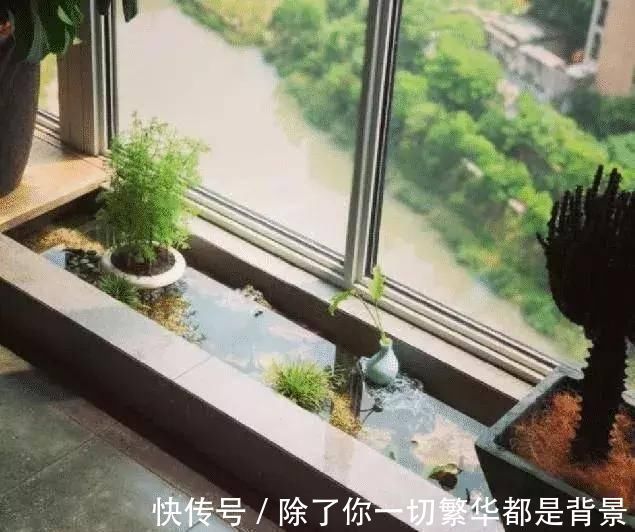 窗台|老公把阳台窗台“加宽”40cm，邻居不解，完工后羡慕极了晒晒
