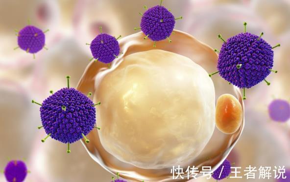 甘油三酯|人到中年压力大？远离中年发福，从3个原因入手