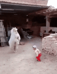 |搞笑GIF段子:美女,开拖拉机这都不是事,档位一挂手刹一松麻利麻利的走