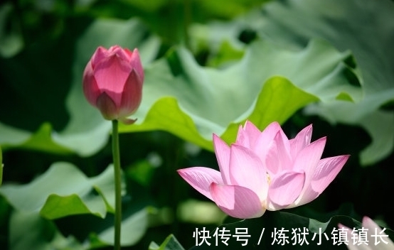 大涨|7月中旬，吉星照耀，4属相财运大涨，升职加薪，日子甜蜜蜜