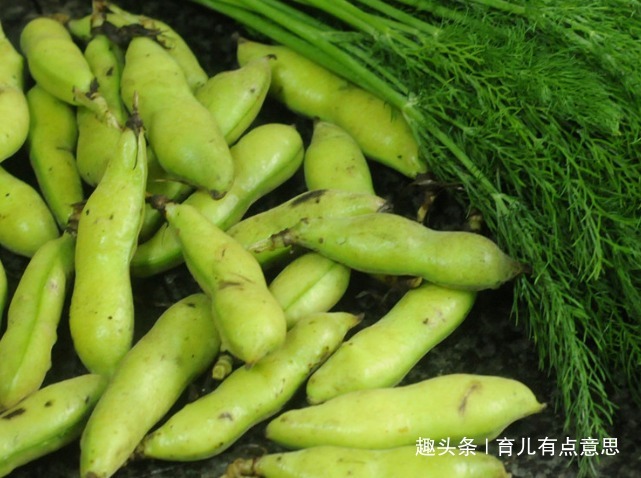 排毒|脂肪最怕此菜,隔天吃一盘,养胃又排毒,洗肠瘦肚子,胃变健康了