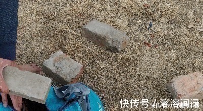 训练|小伙练腿每天做100个深蹲，并逐渐增加训练难度，1个月看腿部变化