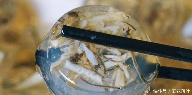  闽南公认的美食，疑惑为啥外地人都这么嫌弃游客这玩意太恶心