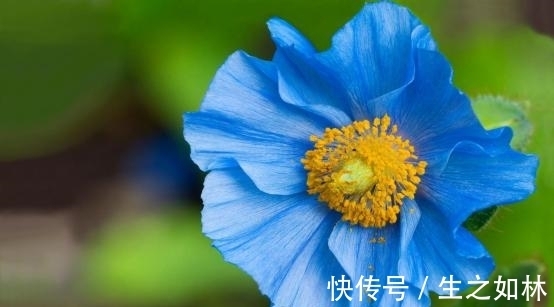 珍惜|7月，孤枕难眠，前任归来，相爱不易，倍加珍惜，今生不再错过