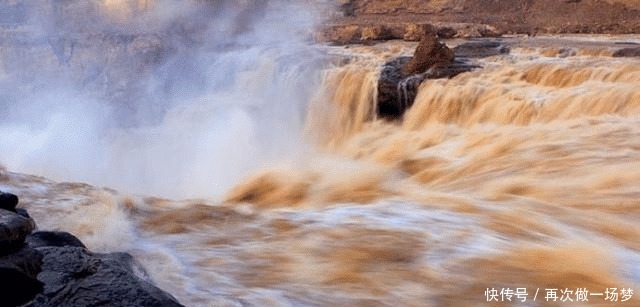 黄河水那么浑浊，为什么里面的鲤鱼却很肥美涨知识了！