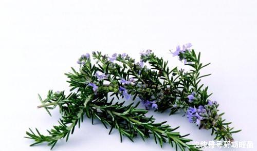 闺蜜直接把洗发水抹到头发上,难怪脱发掉发,原来我们都做错了