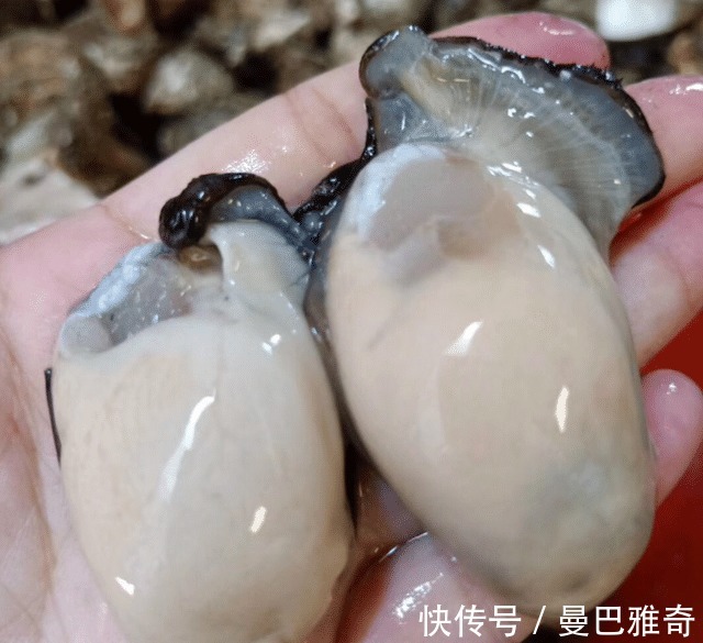 白瓜子|4种食物是精子“助长剂”,备孕时可劲吃,虎宝宝不久之后就会来