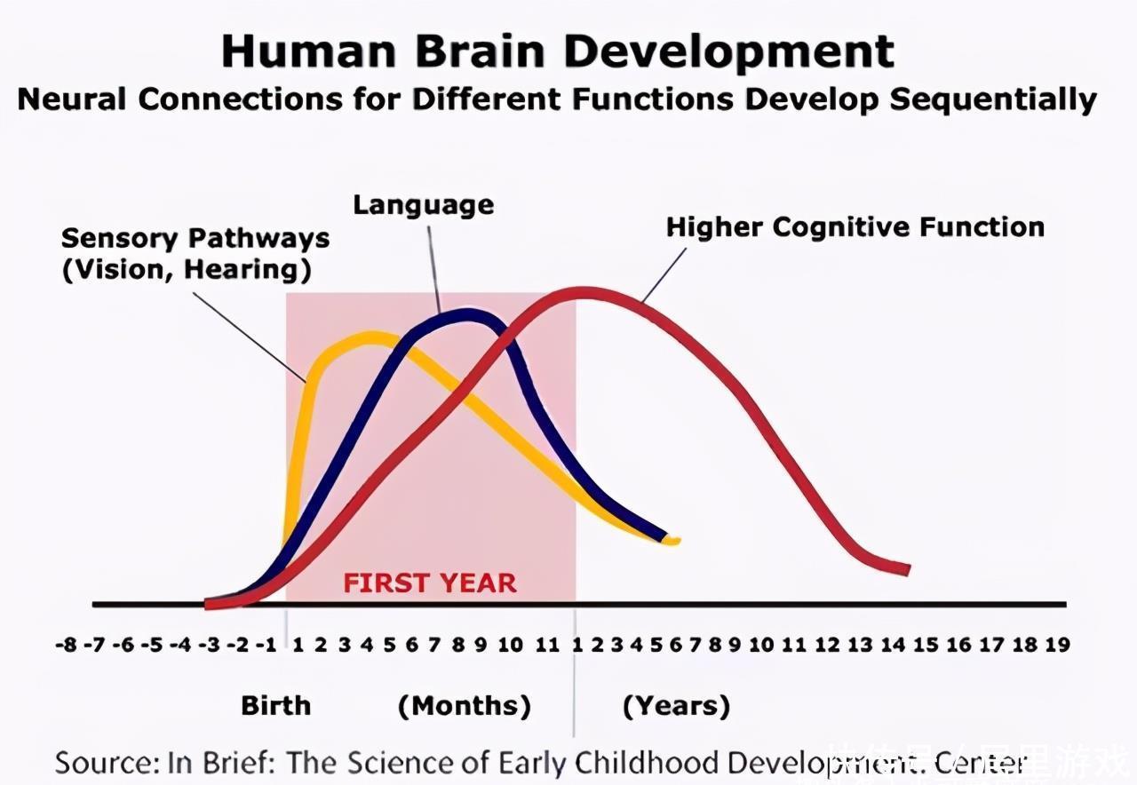 研究|哈佛研究:孩子一生有3次“变聪明”的机会,家长至少要抓住一次