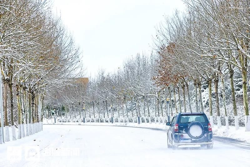 雪景|烟台终于下雪了！（附烟台绝美冰雪图）