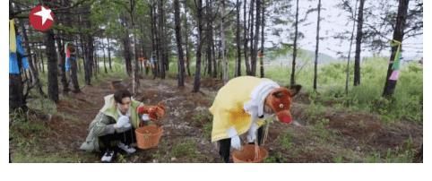 何洛洛|何洛洛森林知识高能对答，黄明昊神推理再次上线这个节目堪称超神