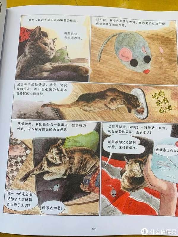 猫生|爆笑治愈的猫生漫画,你不是猫,你怎么知道猫怎么想?