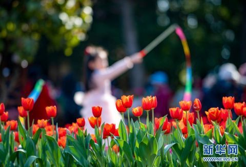 昆明：游园过大年