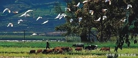 恻隐之心|保全自己的恻隐之心