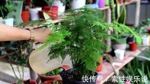 消毒|养花土从不不消毒?难怪养花总是长不好,教你1招,养啥都旺!