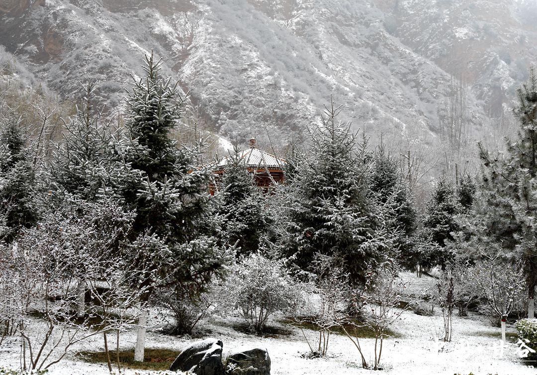 甘谷|甘谷：初冬雪景美如画