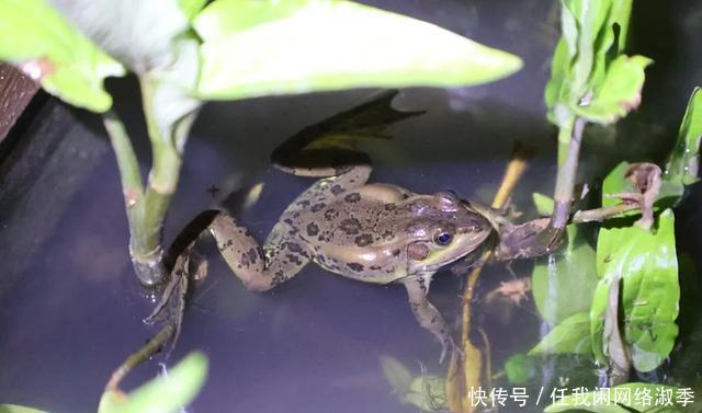 地球一小时︱探秘自然之夜,为地球发声