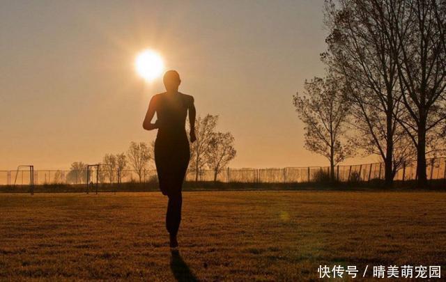 跑步|那些坚持早上起来跑步、做饭,冲澡后去上班的人会有哪些改变?