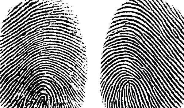 俗语@俗语“十指簸箕没有斗”其实后半句才经典,快看看你有几个斗