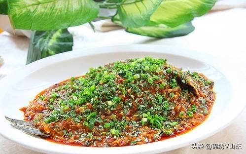 娃娃菜|味道鲜美的14道家常菜，香味扑鼻，每次一上桌全抢光，超下饭