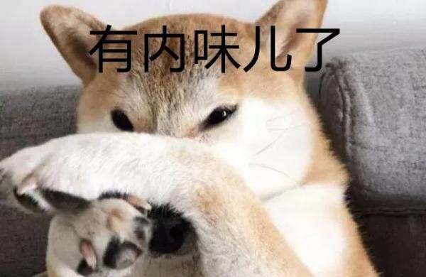 澎湃新闻|捐粪便能赚钱?网友:我能捐到它破产