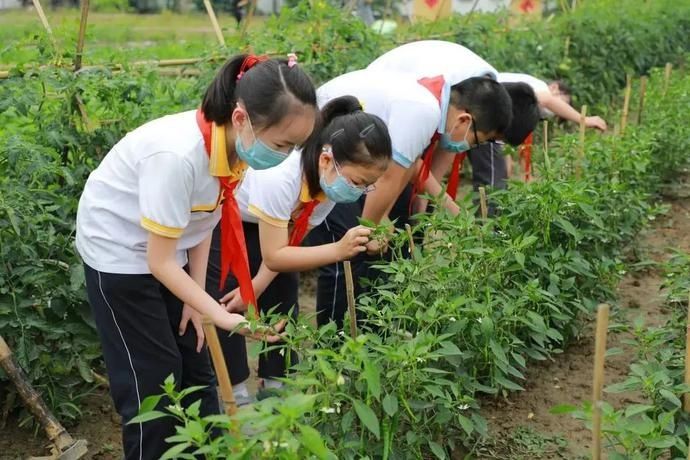  未来|未来美丽乡村长啥样？总有一款你喜欢~