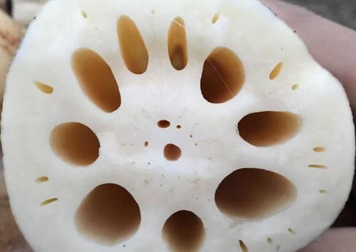 买莲藕,糯藕脆藕如何区分?教你一招,轻松辨别,千万别再买错了