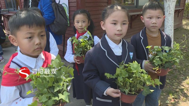 旧书换绿植书香变花香让闲置书本“活”起来