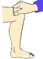 养生|建议:中老年人注意2个“养生黄金期”,一个是睡前,一个是饭后