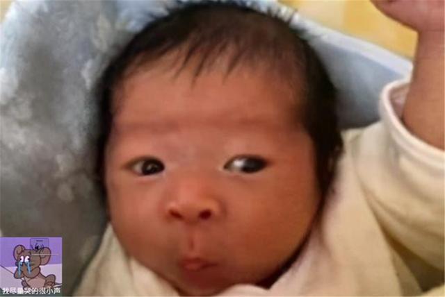宝宝|新生儿组团“拼丑”,宝妈积极晒照,丑出了“新境界”