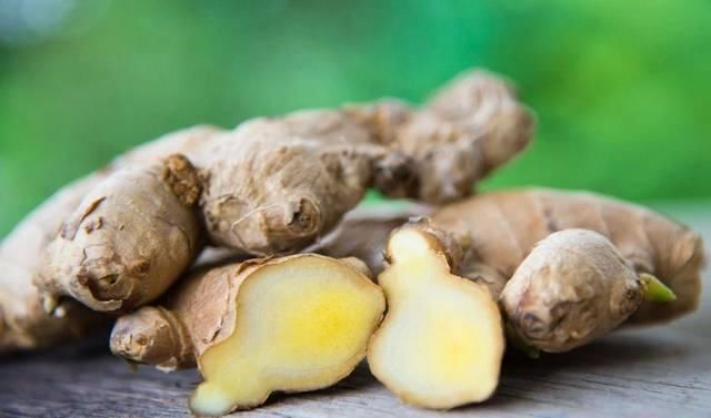 盆栽|对光照需求不多的生姜,养成盆栽后摆窗台上,也能生长旺盛