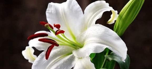 食物|超过40岁的女人，常吃以下几种食物，对身体会非常的健康！