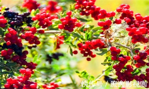 女性|女性要常给自己的身体排毒,推荐多吃4种食物,排毒素,清污血