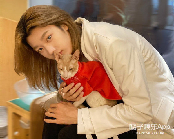 你看这颜值能火成顶流吗？