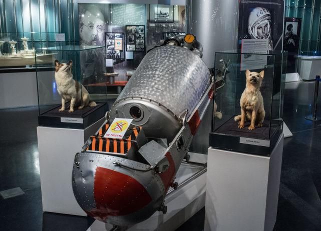 宇航员在太空生活需要适应和掌握的知识