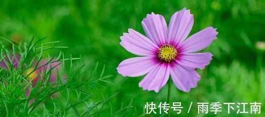 光宗耀祖|孩子出生在几点钟,孝心十足,日后必定是有用之才,光宗耀祖