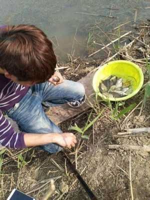 民间“钓泡法”钓鱼,鲫鱼多得让你吃不完