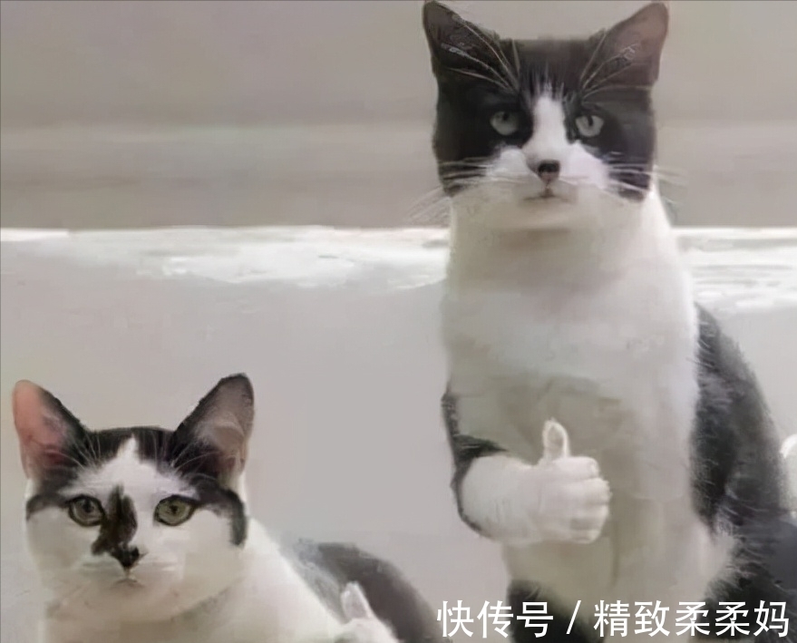 一千年以后&一千年以后,语文课本长什么样?网友给出答案:明星网红齐聚一堂